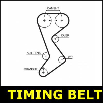 Timing Belt Cam Fits Jeep CHEROKEE WRANGLER KJ TJ 2.4 ED1 562T
