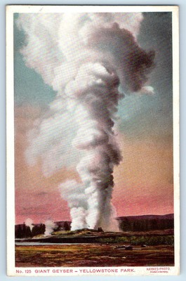 #ad 1909 Giant Geyser Yellowstone Park Wyoming WY Haynes Photo Antique Postcard $19.47