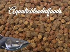 LARGE Sinking Pellet Mix Cichlids Carnivore Bottom Feeders Catfish Krill A441