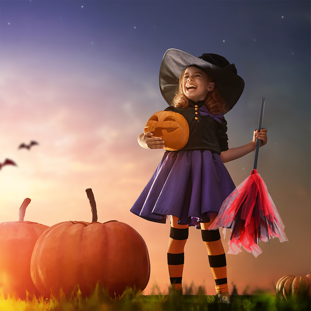 witch and broom witch and broom