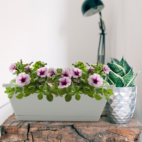 8 Sets of Window Box Planter Vegetable Flower Planter Box Rectangular Flower - Picture 12 of 12