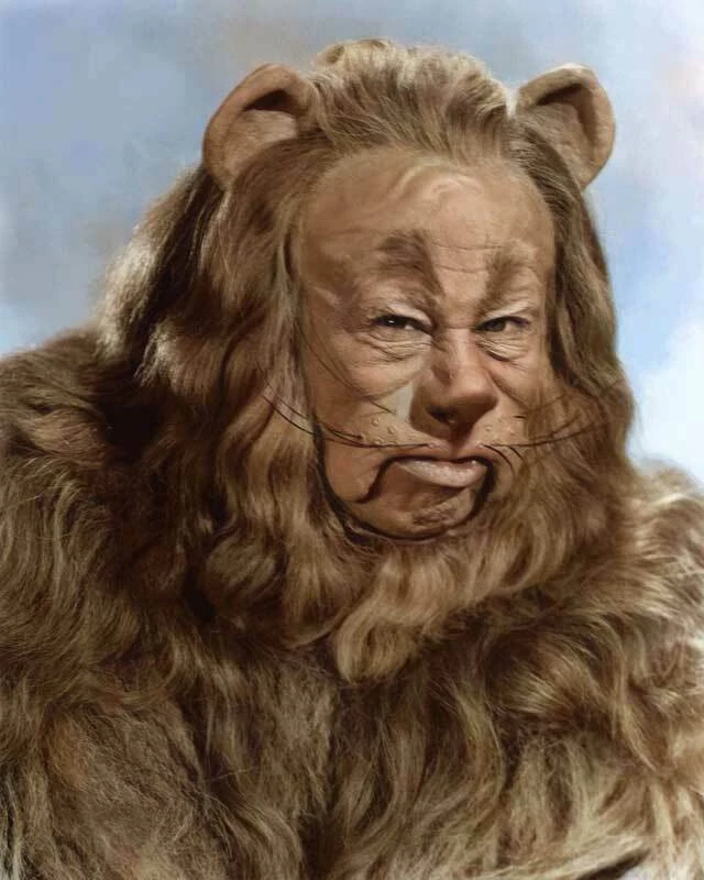 Wizard Of OZ Cowardly Lion Color 8x10 Glossy Photo | eBay