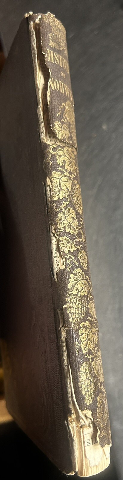 Picture 2 of 11