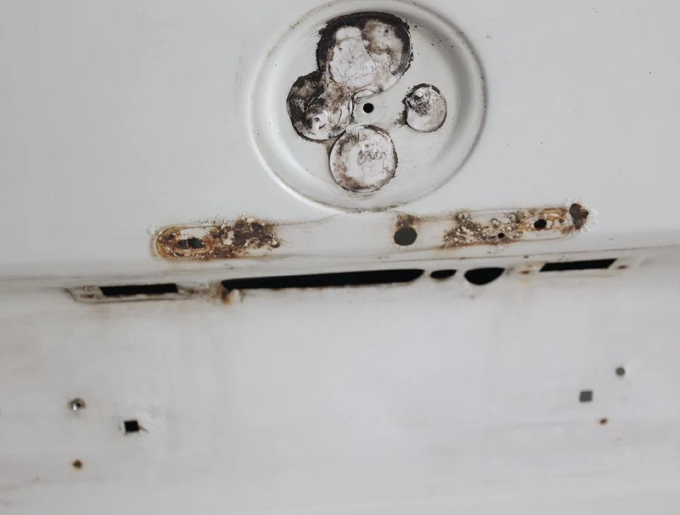 Heckklappe VW T4 Kasten Weiss 701829105AM 02-2001 - Bild 3 von 4