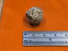 Post Med. Battle Of Marston Moor 1644 AD Hit!! Musket Shot As Found Con. LA127j