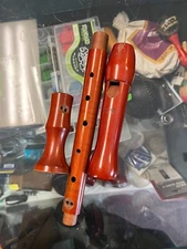 Schreiber Sonata Recorder, comes with case!