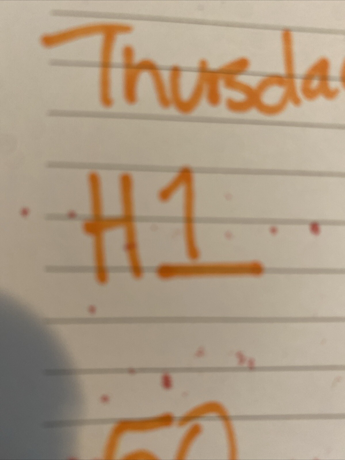 Picture 21 of 21