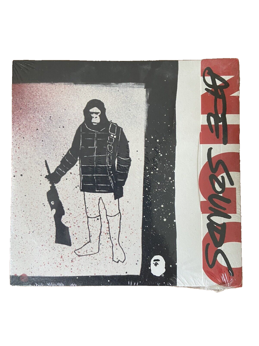 【レアレコード】NIGO ：APE SOUNDS Nigo - Ape Sounds (2000) for sale online | eBay