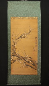 桜zipang JAPANESE BIG HANGING SCROLL : OBO "Ume Tree" @WS261