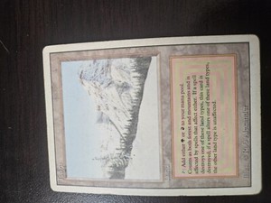 Magic The Gathering Taiga | eBay