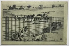 Dekalb IL Illinois Jacob Haish Company Dog Pigs Child 1910s Advertising Postcard