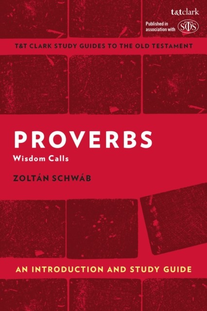 T&T Clark's Study Guides to the Old Testament Ser.: Proverbs: an Introduction... - Image 3