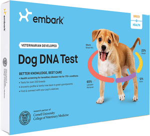 dog dna test ebay