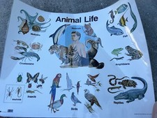 Vintage Educational Posters Bundle Laminated