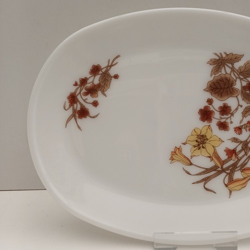 Vintage Milk Glass Pyrex Single Harvest Spray Oval Steak/Dinner Plate 30.5cms - Picture 3 of 6