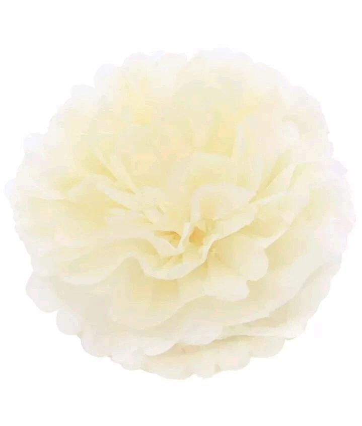 12 piezas pompones de pañuelo de papel rosa decoración de bolas de flores para fiestas  Foto 4 de 4