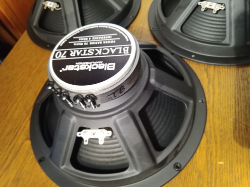 Blackstar 70 12" 4 Ohm 70W Speaker Driver Woofer From ID 260 TVP Combo Amp - Picture 9 of 12