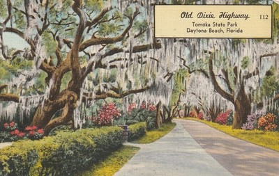 Vintage Postcard Old Dixie Highway, Tomoka State Park, Daytona Beach Florida