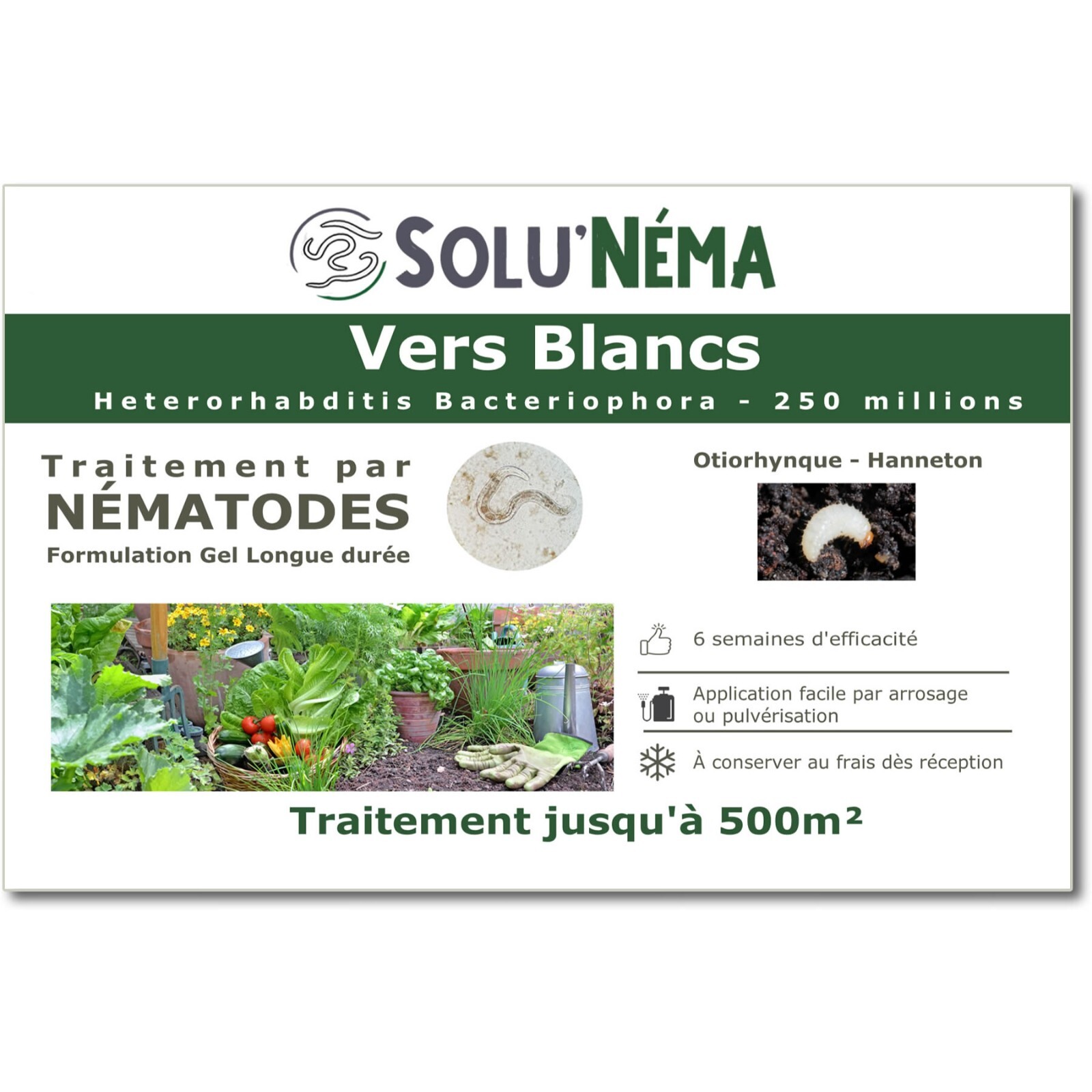 Sauvez votre pelouse des vers blancs avec les nématodes HB SOLUNEMA 250M
