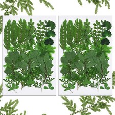 42 Pcs Real Dried Pressed Leaf Dried Flowers for Craft Resin Jewelry Making