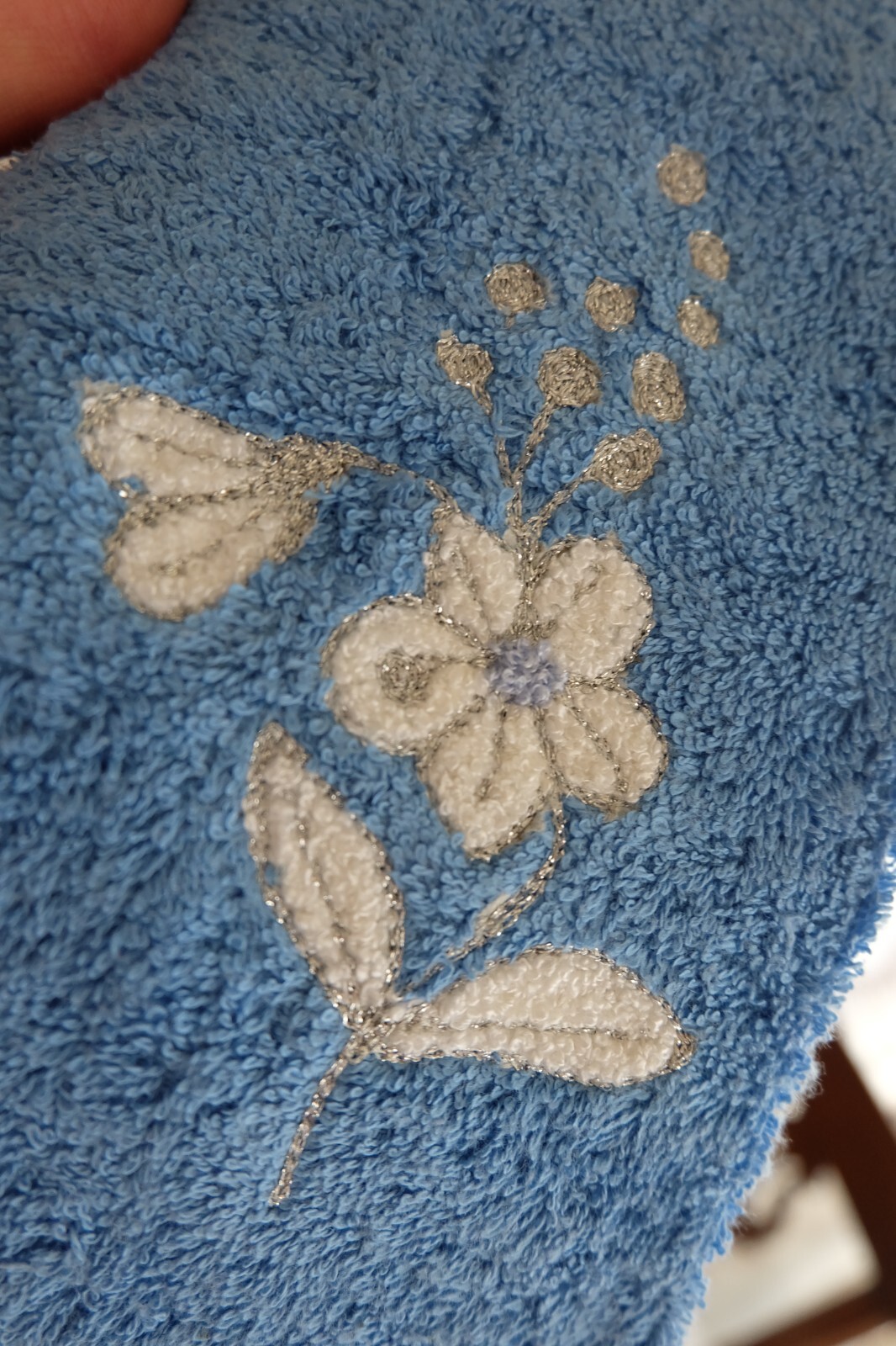 Picture 3