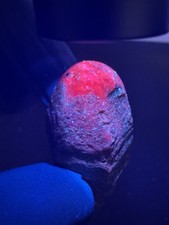 Rubin Zepter Mit Asterismus 235 Karat Poliert Stern Auf Korund Top Qualität