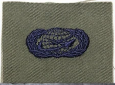 US Air Force Basic Manpower & Personnel Badge Insignia OD Fatigue Patch