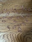 Large Paper Clips ，Jumbo Cat Paper Clips, Rose Gold, Greater then 50 Total NEW! — photo 3