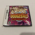 Super Dodgeball Brawlers Nintendo DS Authentic Aksys - NEW SEALED