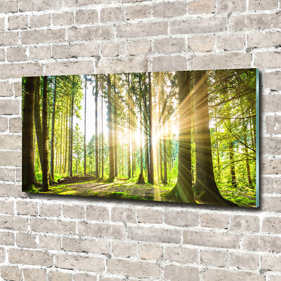 Wandbild aus Plexiglas  Druck auf Acryl 140x70 Landschaften Wald Sonne