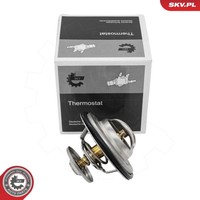 Esen SKV Thermostat KÜHlmittel 87°C Passend FüR Audi 100 80 A4 A6 A8 Allroad