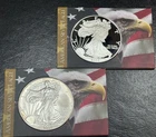 Silver Eagle Lot 2005 W & P Ultra DCAM Proof & MS Bus. In Patriotic Holders