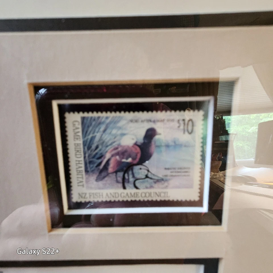 Primera estampilla de pato arte de pesca y caza de Nueva Zelanda Adele Earnshaw 1816/5750 DE COLECCIÓN Foto 4 de 4