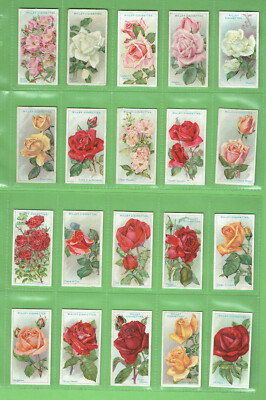 GG1. SET(50) 1912 ROSES WILLS CIGARETTE CARDS