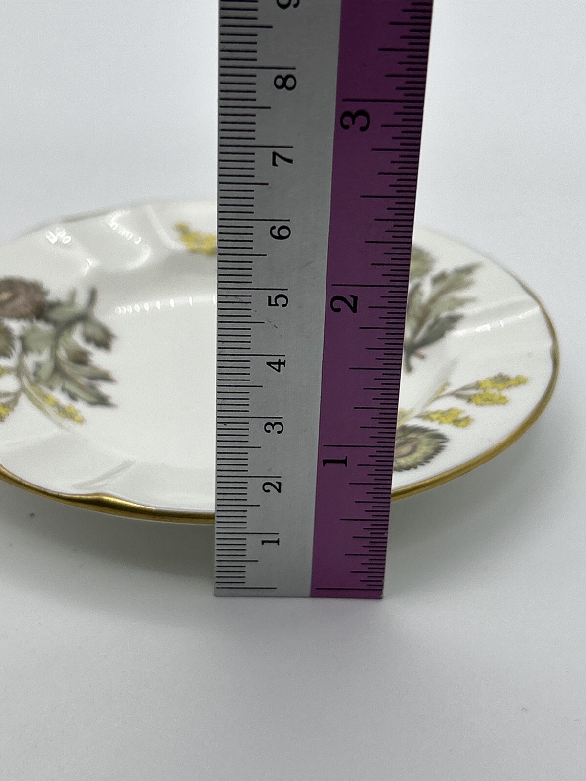 Picture 6 of 13