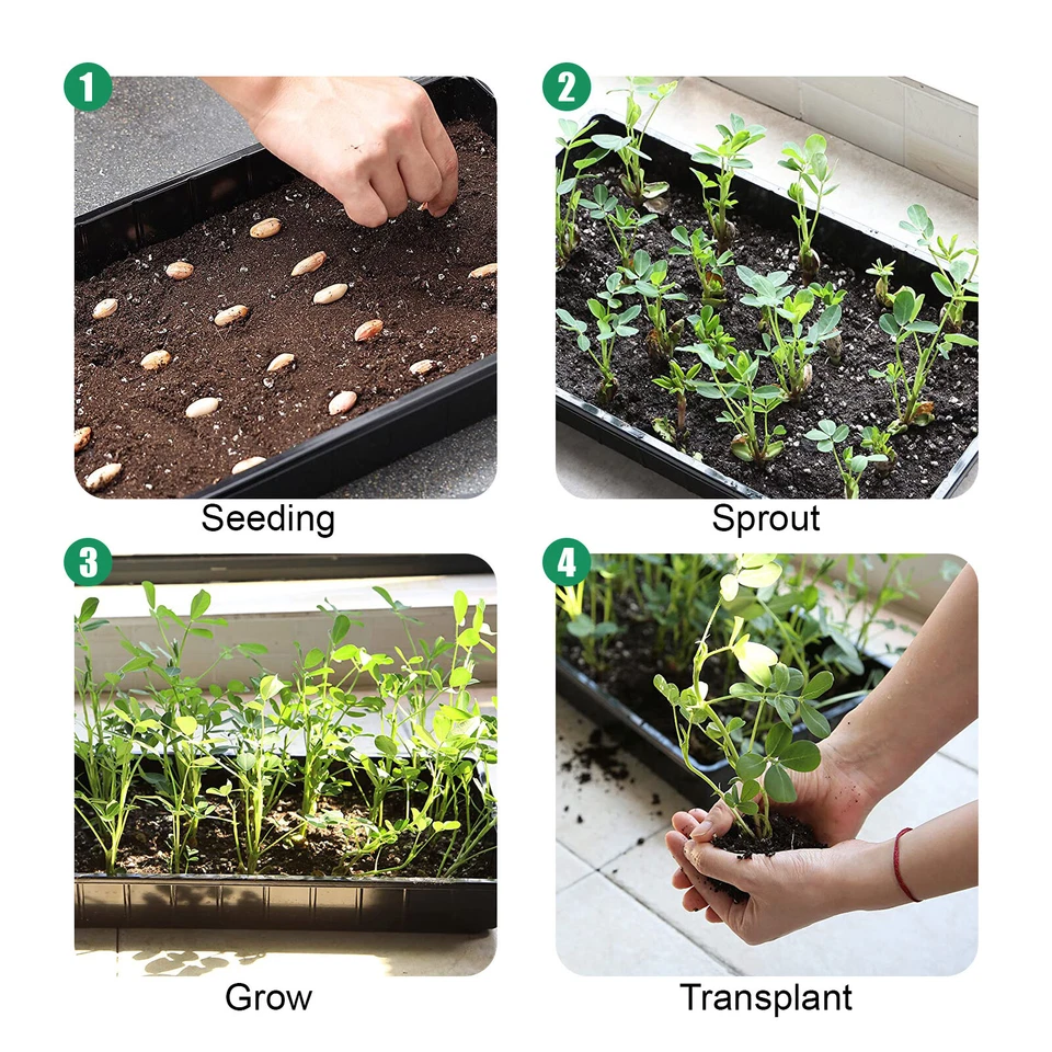 Bandejas de arranque de semillas planas plántulas de alta resistencia sin agujeros 10 x 7"" 10 un. Foto 4 de 4