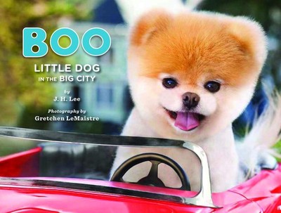 Boo: Little Dog in the Big City - Lee, J.H.|LeMaistre, Gretchen - Good - See...