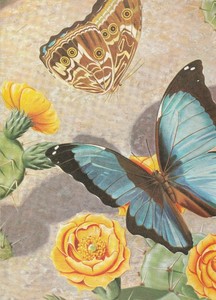 HOW TO PAINT EXOTIC BUTTERFLIES AND MOTHS by RALPH C COVENTRY