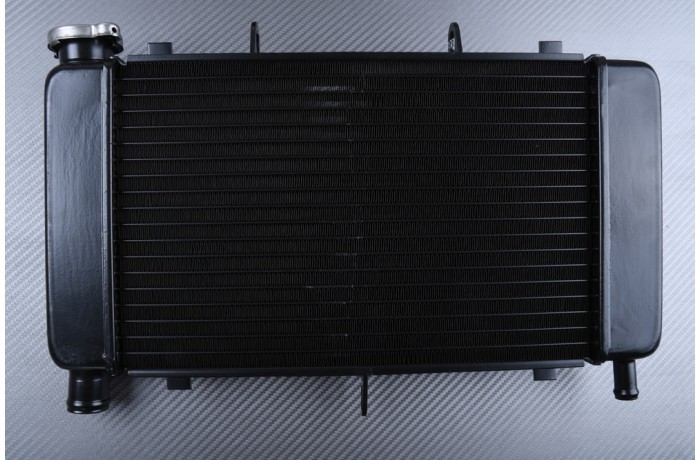 Radiateur eau noir type origine pour moto Yamaha FZ6N 2004-2006
