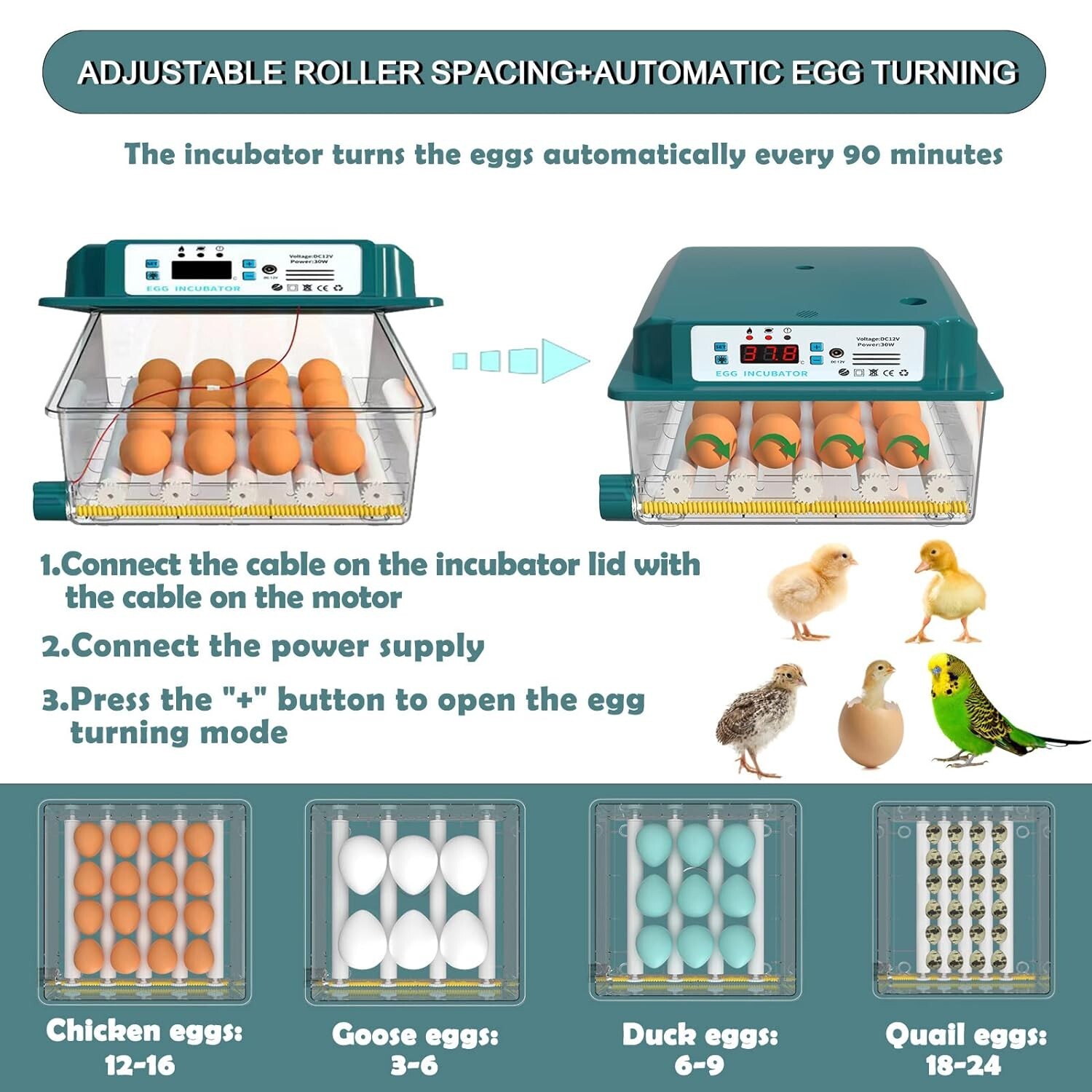 2 Rulli Per Incubatrice - Per 12-16 Uova, Ideali Per Allevamento Domestico