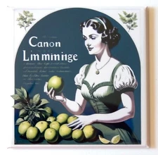Woman with Limes FRIDGE MAGNET "style B"
