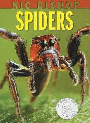 Nic Bishop ~ Nic Bishop: Spiders 9780439877565