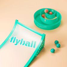 Flyball Lawn and Beach Game