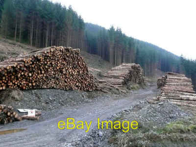 Foto 6x4 Tywi Waldfällungen nördlich von Llyn Brianne, Powys Nant Cwm-du\/S c2008