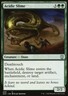 MTG Magic the Gathering Acidic Slime (59/155) Zendikar Rising Commander NM