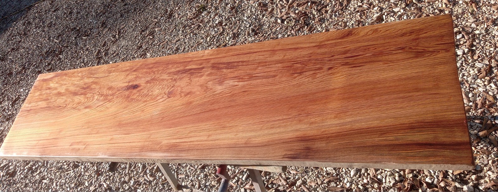 60" Long! Underwater Recovered Table Desk Top REAL Sinker Cypress Craft Wood USA