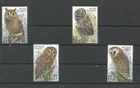 Belgische vogels =uilen