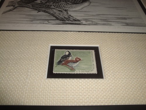 1968 Framed Federal Duck Stamp Print Hooded Mergansers RARE! - Picture 5 of 5