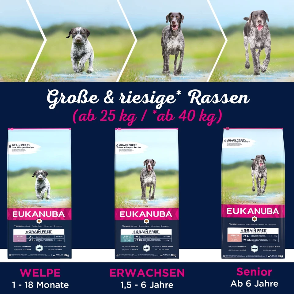 Hundefutter getreidefrei mit Fisch für große Rassen - Trockenfutter für ausge... - Bild 4 von 4