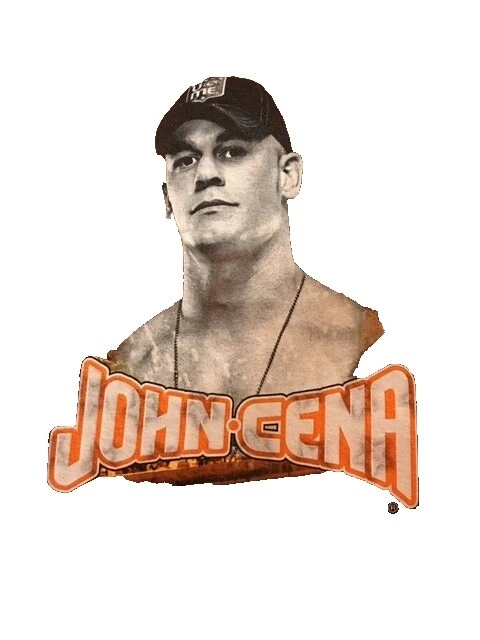 WWE Algodón Informal Con Botones camisas para hombres